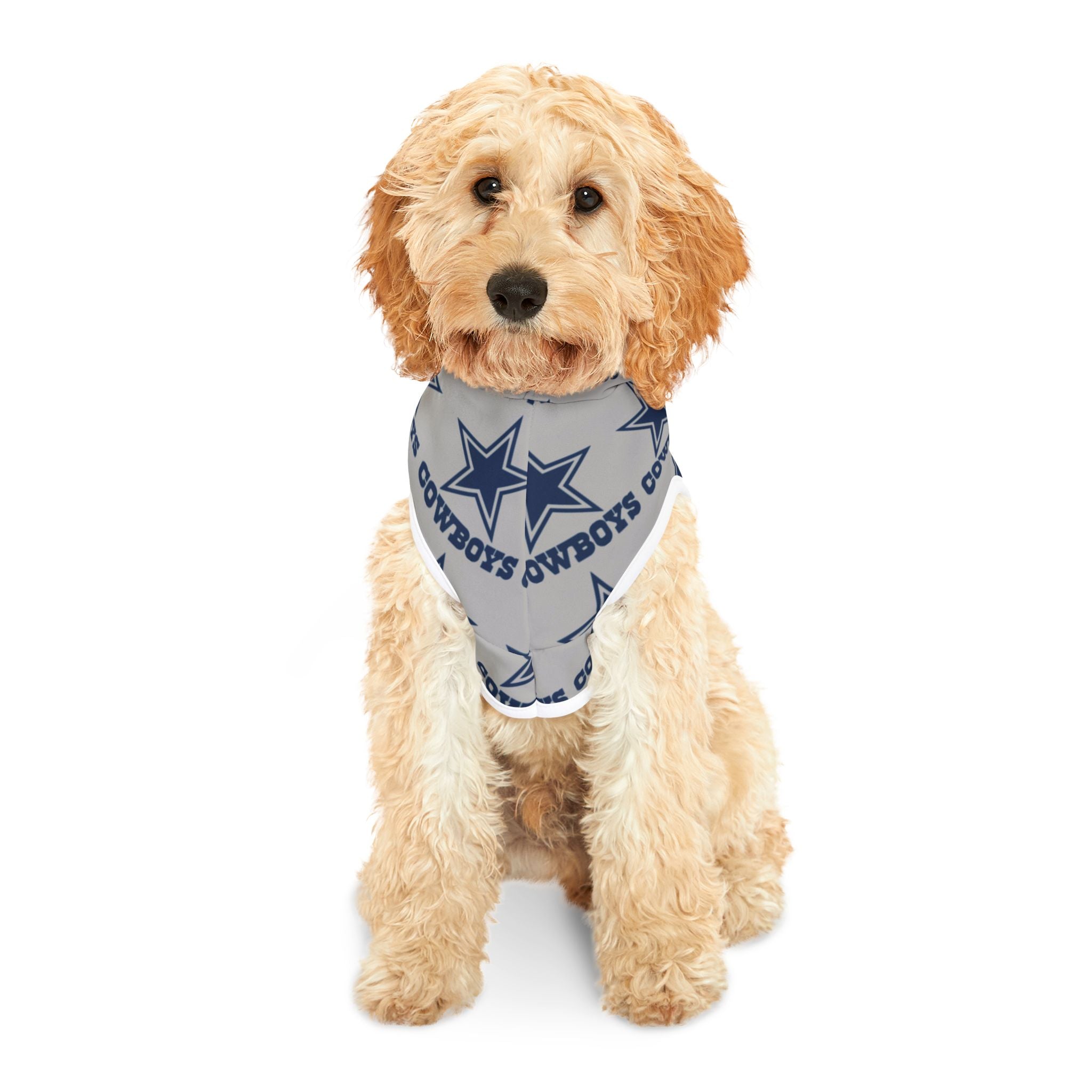 Dallas Cowboys Pet Hoodie (Grey)