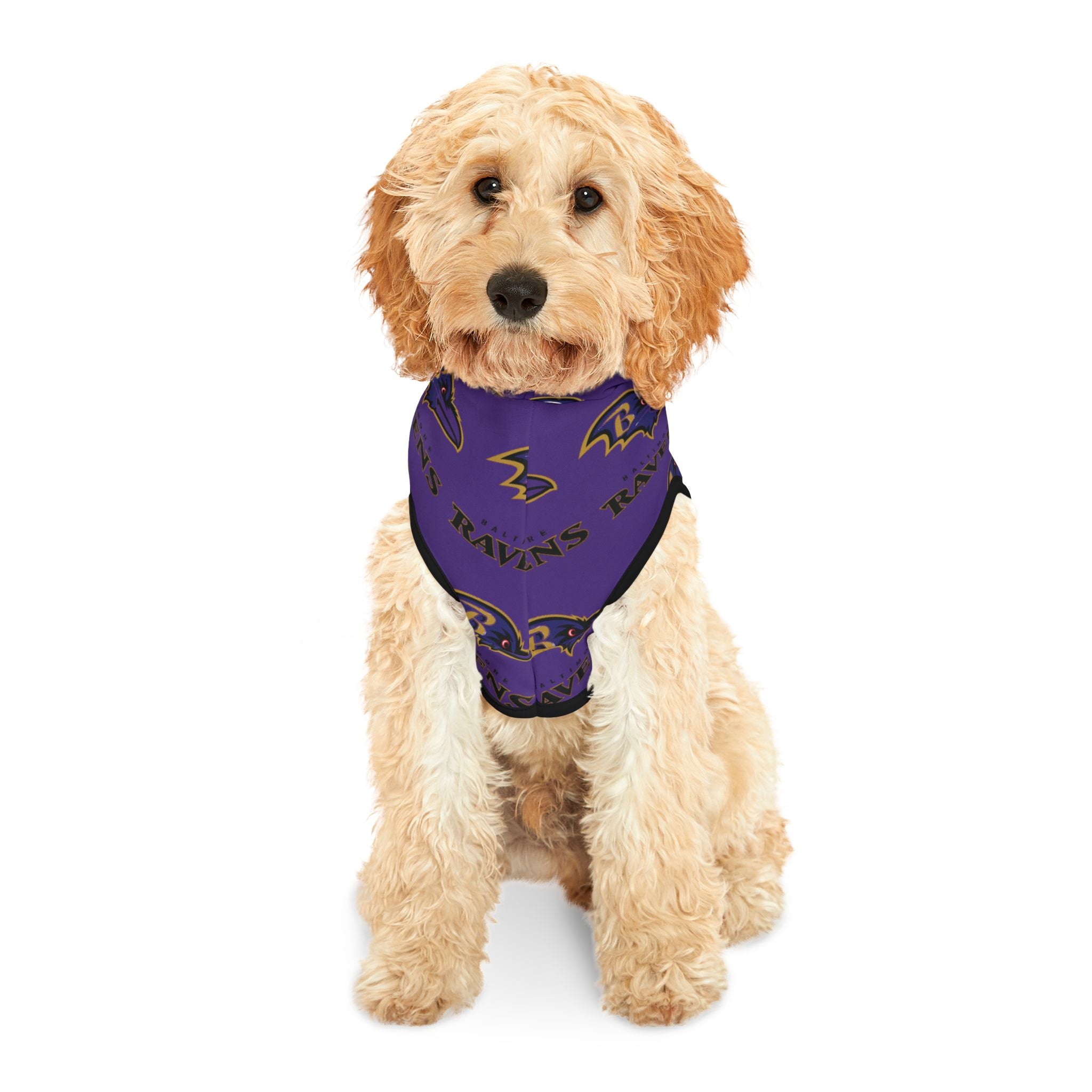 Baltimore Ravens Pet Hoodie (Purple)
